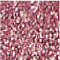 N.09 ROSA N.09 ROSA