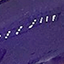 N.125 PURPLE SPLENDOR N.125 PURPLE SPLENDOR