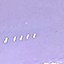 N.221 CUTE LILAC N.221 CUTE LILAC