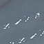 N.234 VERY MOSS N.234 VERY MOSS