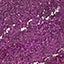 N.45 PURPLE GLITTER N.45 PURPLE GLITTER