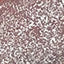 N.686 SILVER GLITTER N.686 SILVER GLITTER