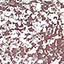 N.718 HYPER SILVER N.718 HYPER SILVER