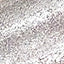N.73 PLATINUM N.73 PLATINUM