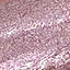 N.77 BALLERINA N.77 BALLERINA