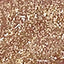 N.43 GOLD GLITTER